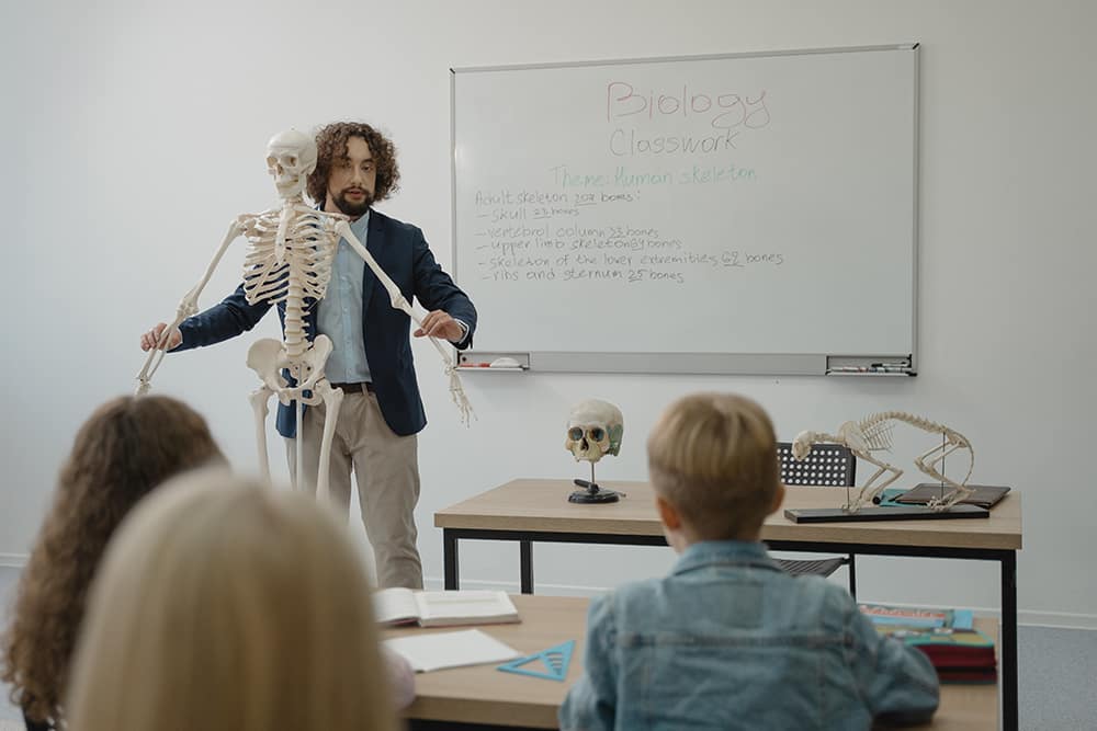 A teaching with a skeleton